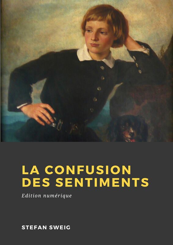 Couverture du livre La Confusion des sentiments de Stefan Zweig