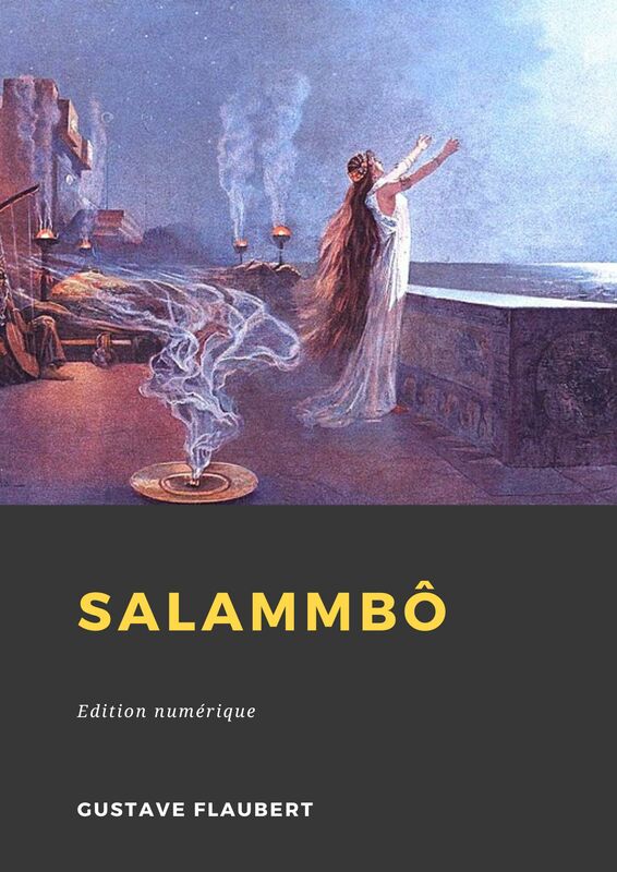 Couverture du livre Salammbô de Gustave Flaubert chez Librofilio