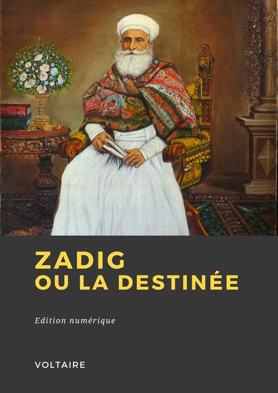 Couverture du livre Zadig ou la Destinée de Voltaire chez Librofilio