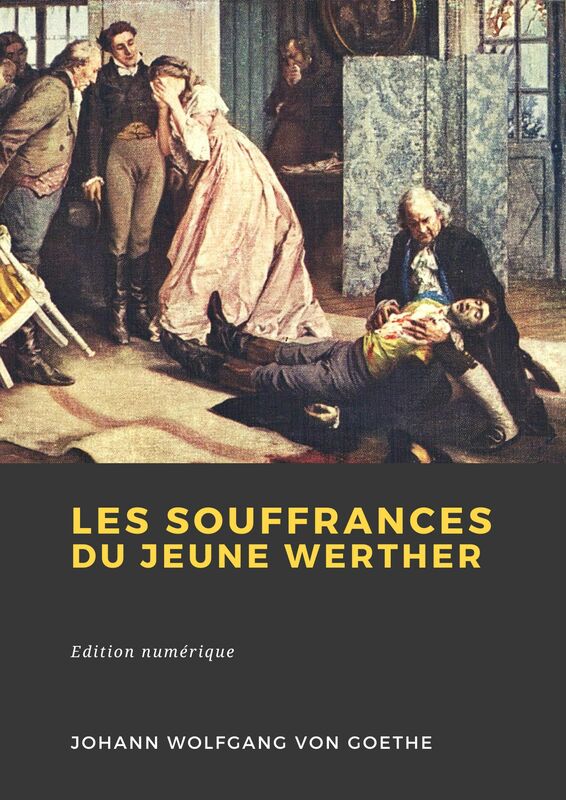 Couverture du livre Les Souffrances du jeune Werther de Johann Wolfgang von Goethe chez Librofilio