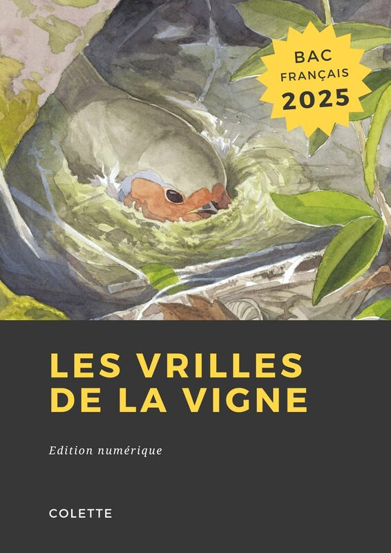 Couverture du livre Les vrilles de la vigne de Colette