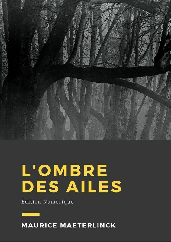 Couverture du livre L'ombre des ailes de Maurice Maeterlinck chez Librofilio