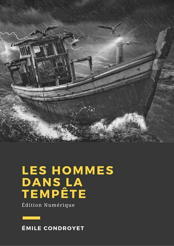 Couverture du livre Les hommes dans la tempête de Emile Condroyer chez Librofilio